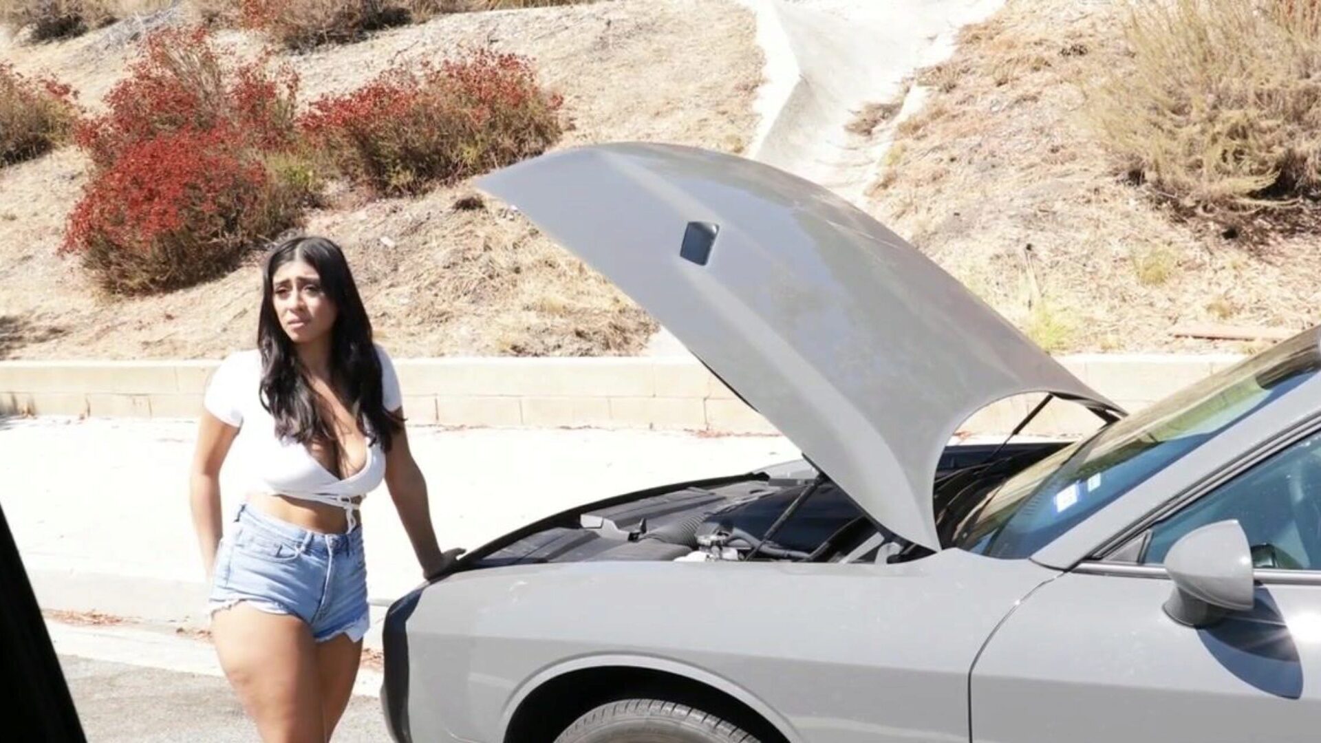 Busty Latina Violet Myers Offers Her Pussy To Random Black Dudes