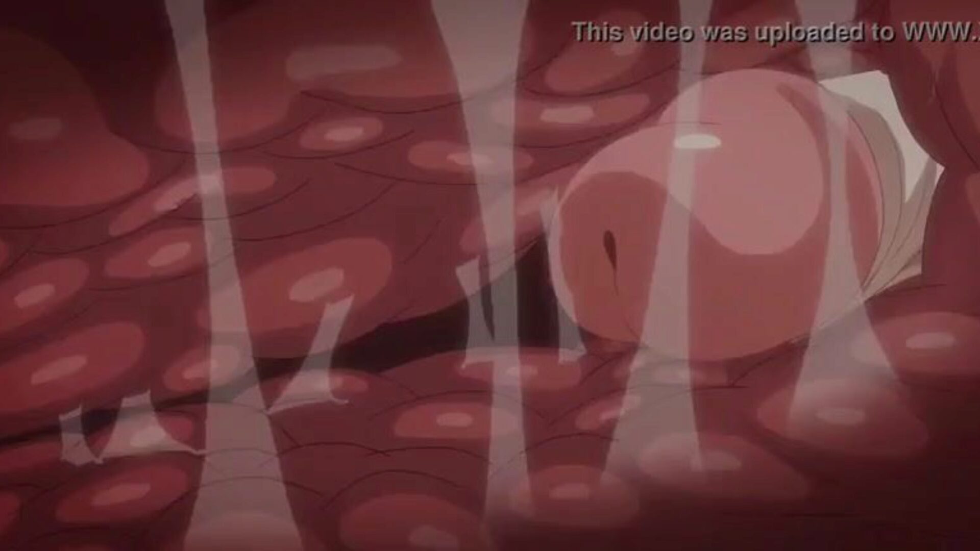 ice cassino buzz - Futanari doggy fashion